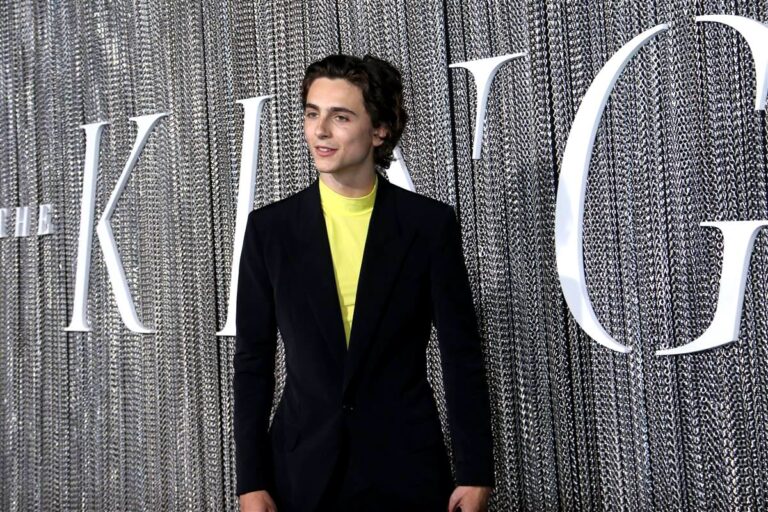 Timothée Chalamet, el centennial que acapara todas las miradas