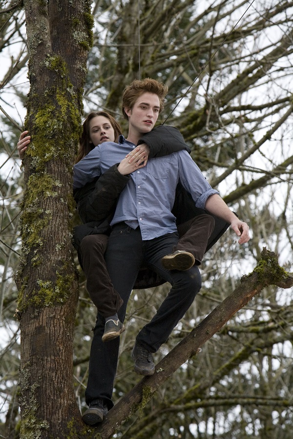 PELIS Y SERIES: LOS ESTRENOS DE FEBRERO 2021, INCLUYENDO A ZENDAYA Y TIMOTHÉE CHALAMET!