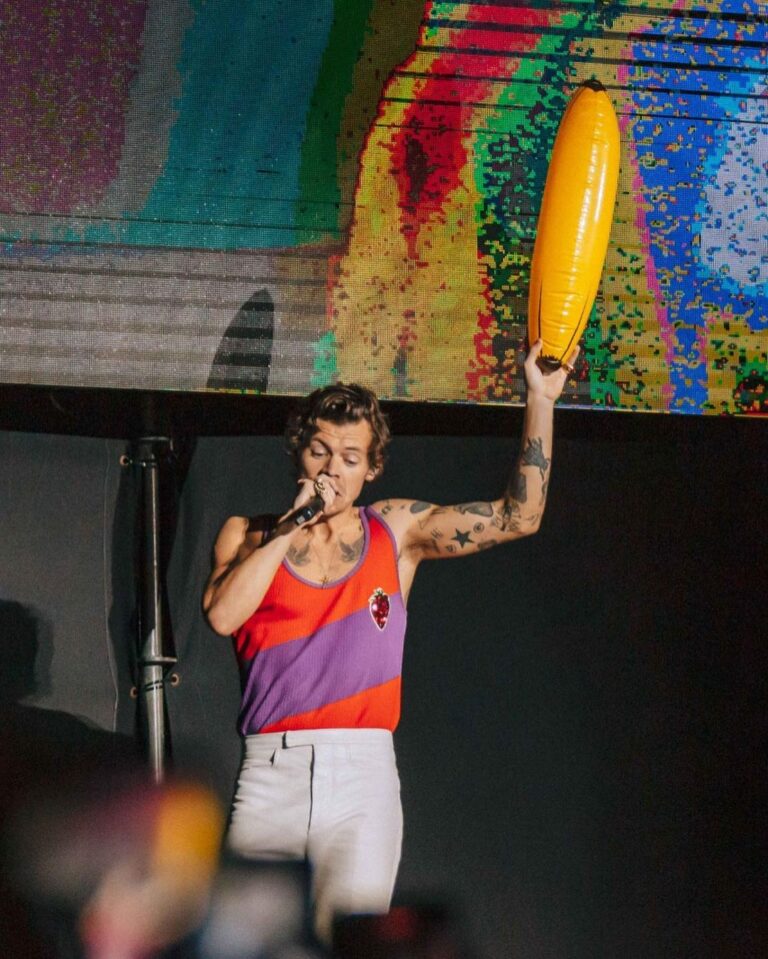 HARRY STYLES SE DESPIDIÓ DE ARGENTINA EN SU SEGUNDO SHOW EN RIVER